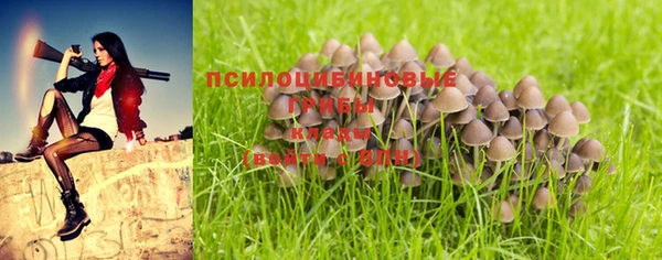 гидропоника Белоозёрский